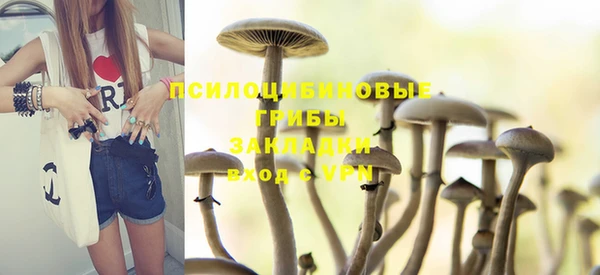 a pvp Абинск