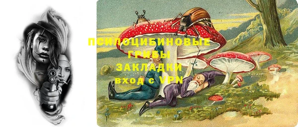 эйфоретик Алексин