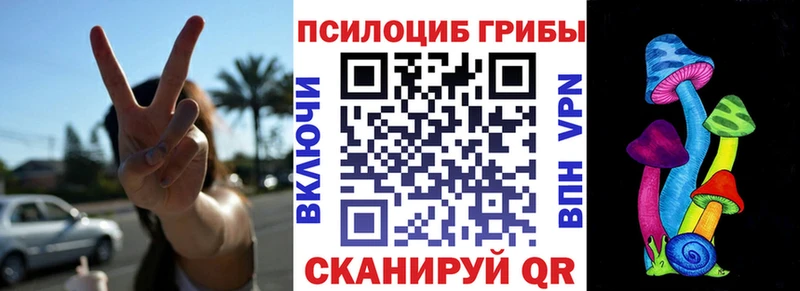 Псилоцибиновые грибы мицелий  Кирсанов 