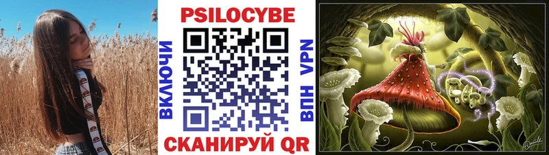 Псилоцибиновые грибы GOLDEN TEACHER Кирсанов